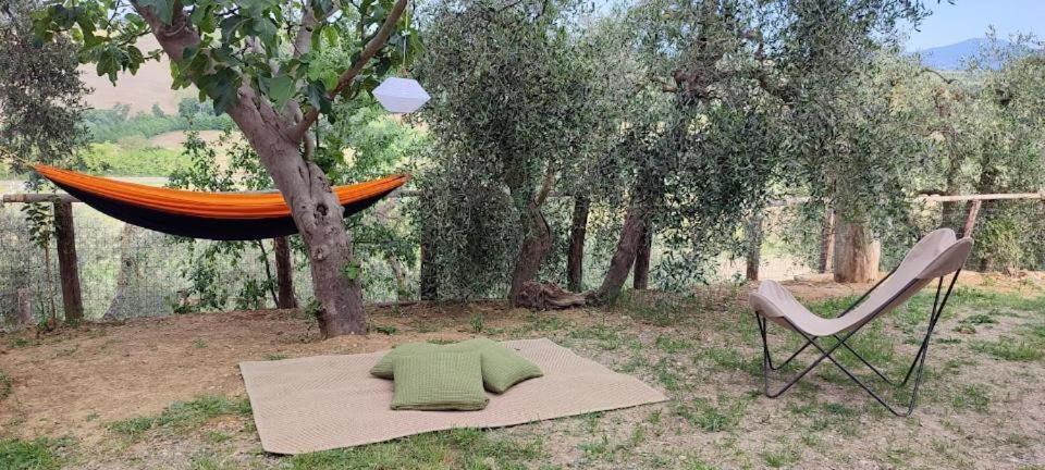 Agriturismo Biofattoria L'Upupa มอนตาลชิโน ภายนอก รูปภาพ