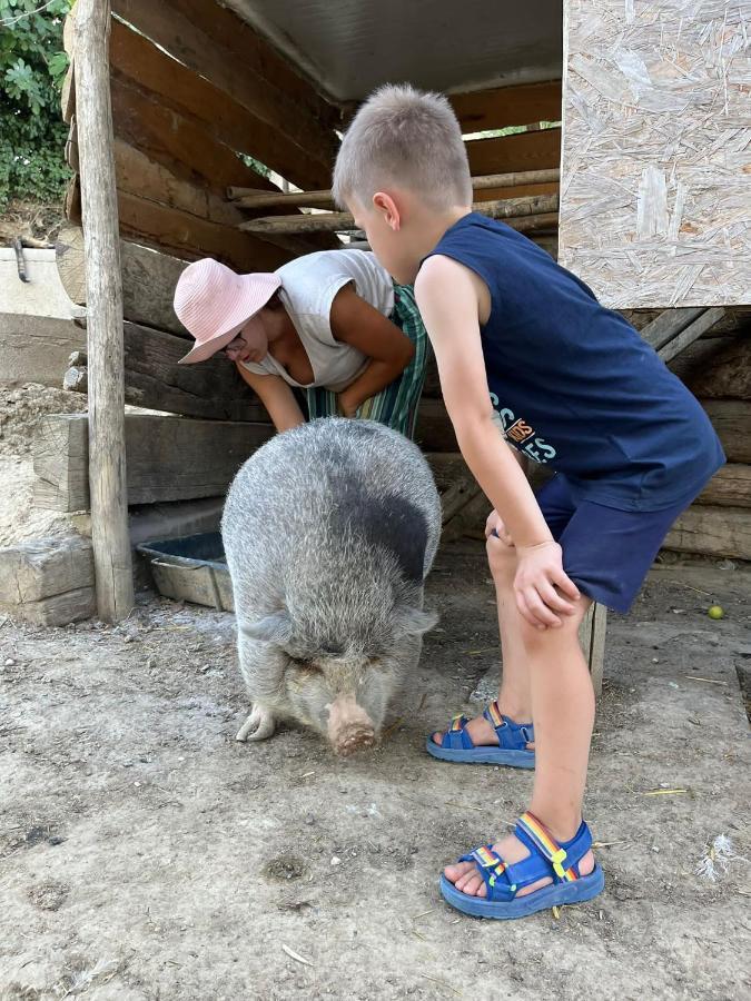 Agriturismo Biofattoria L'Upupa มอนตาลชิโน ภายนอก รูปภาพ
