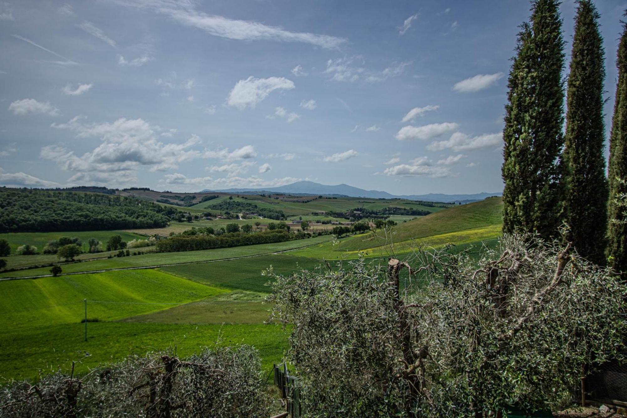 Agriturismo Biofattoria L'Upupa มอนตาลชิโน ภายนอก รูปภาพ