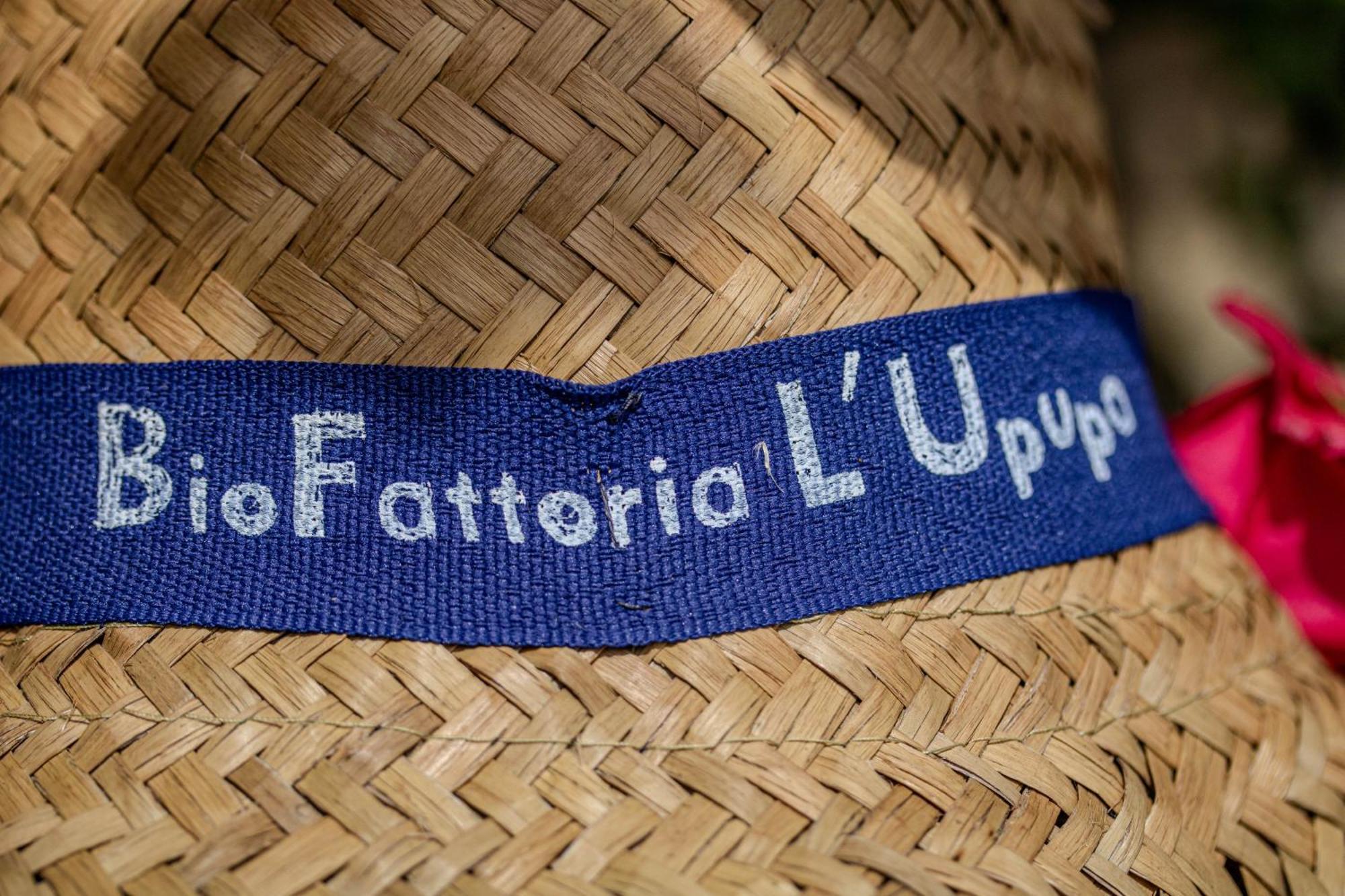 Agriturismo Biofattoria L'Upupa มอนตาลชิโน ภายนอก รูปภาพ